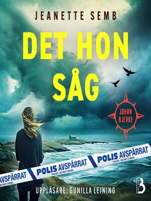 cover image of Det hon såg